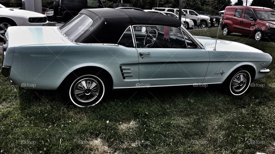 Classic Cars. Vintage Mustang Convertible