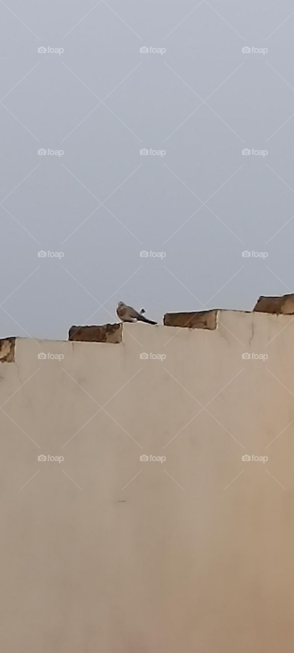 peace within a new day is going to be able to get