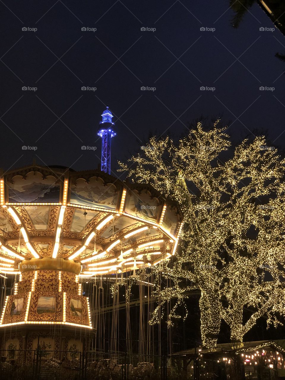 Carousel and lights 