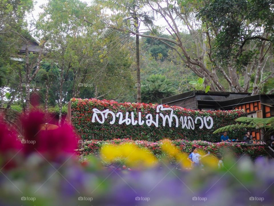 Mae Fah Luang Park