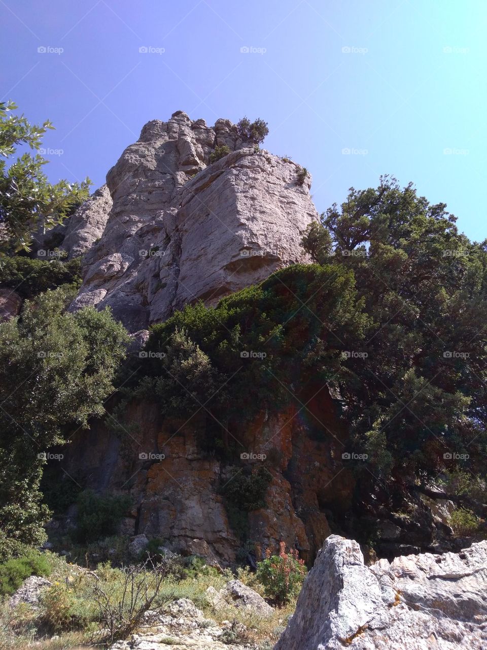 Editors' Choice: Photo of the Week