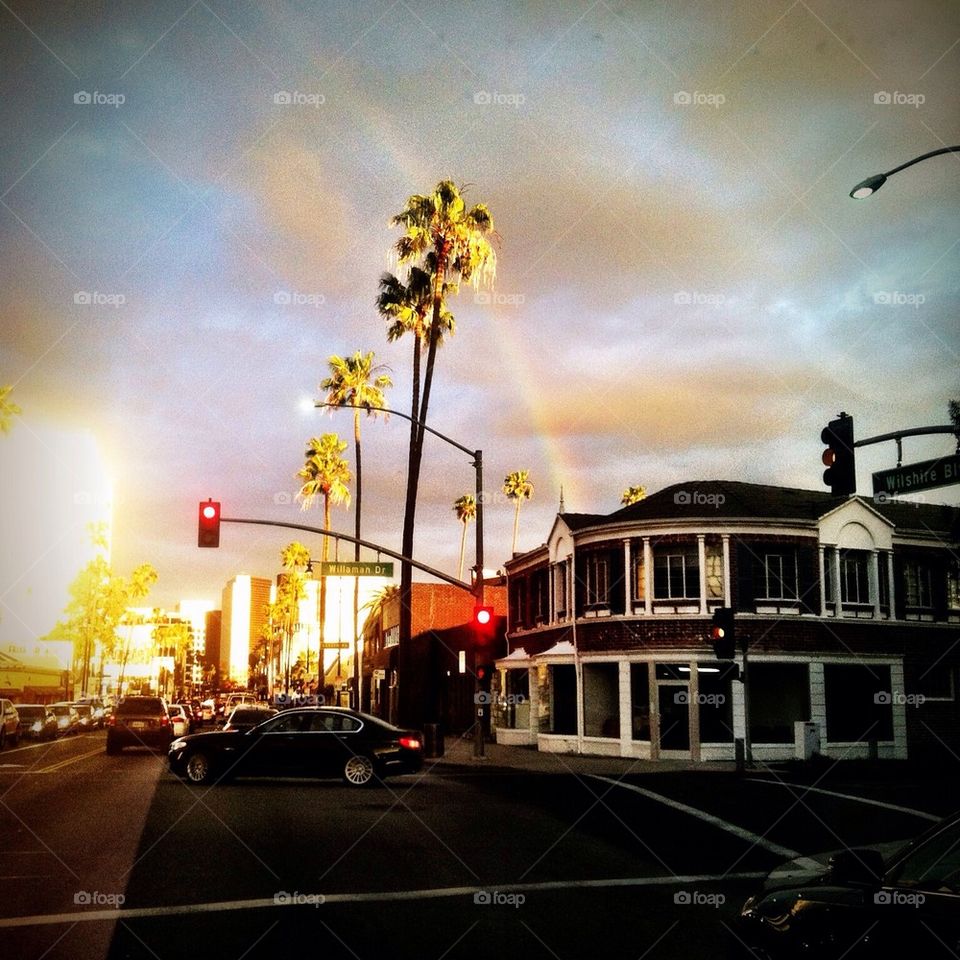 sky city rainbow palm trees by isabella.c.distefano