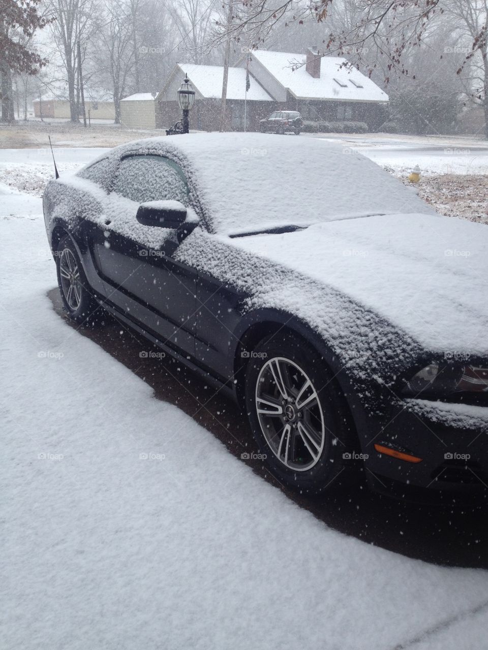 Snow covered Ford Mustang.