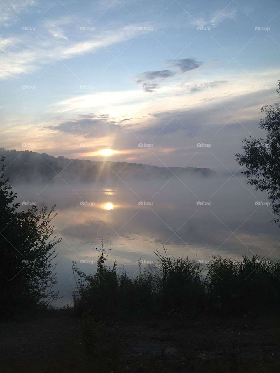 Foggy morning in the river 