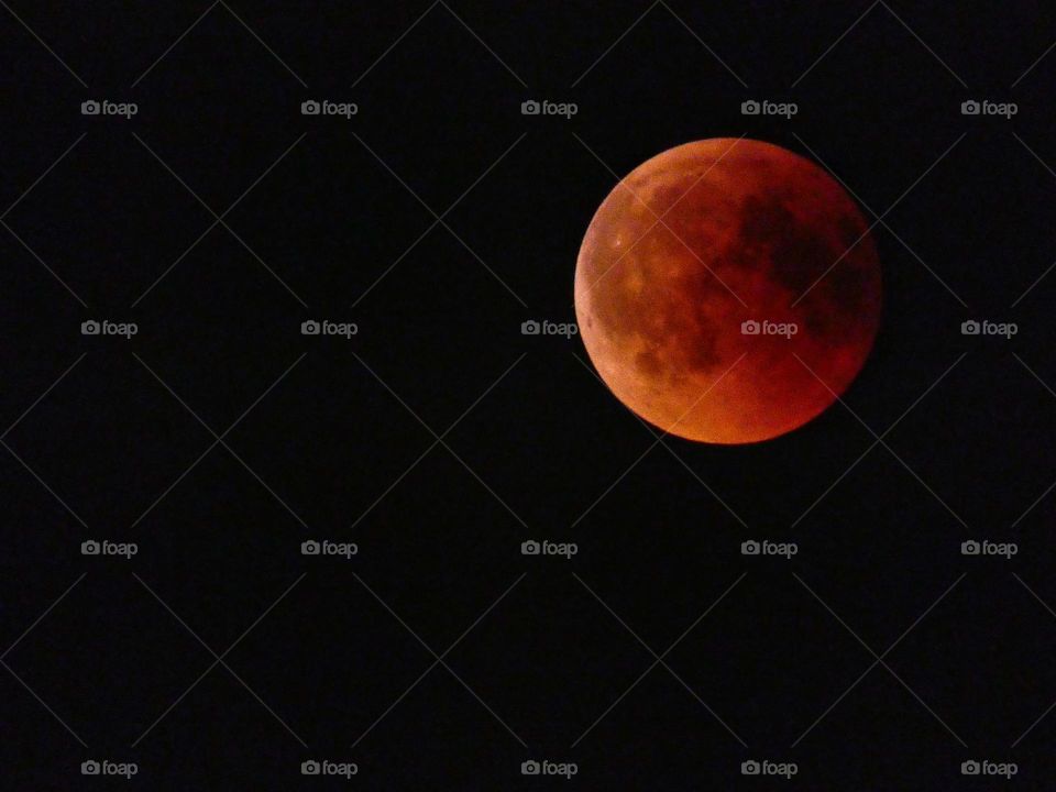 Bloodmoon