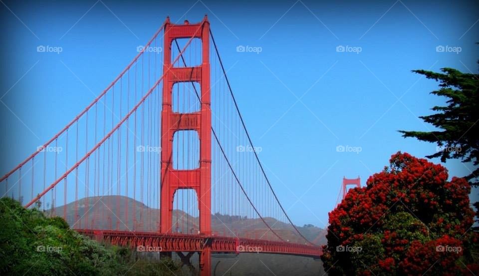 Golden Gate