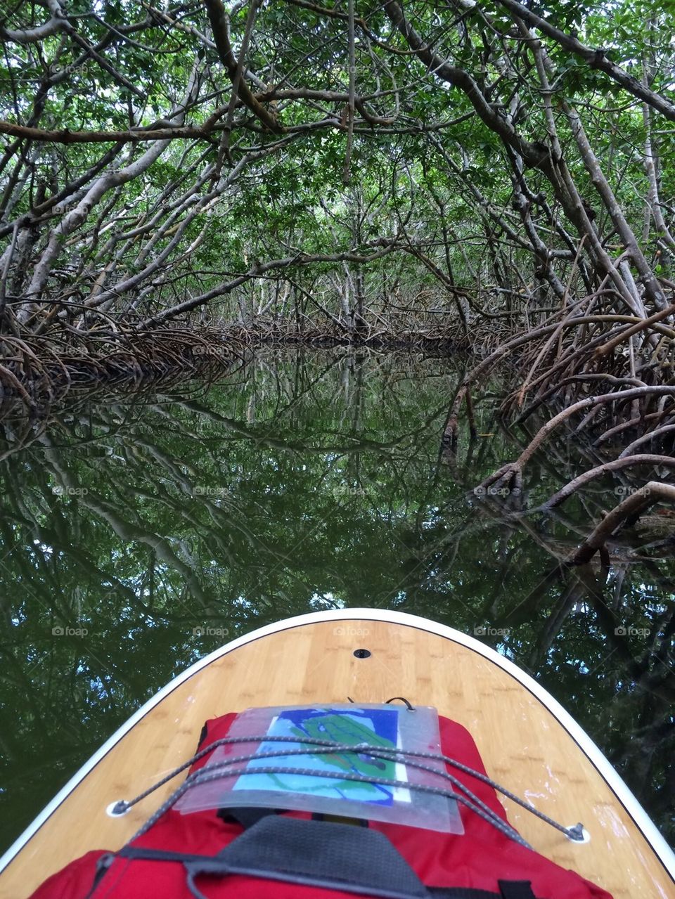 Paddle Board