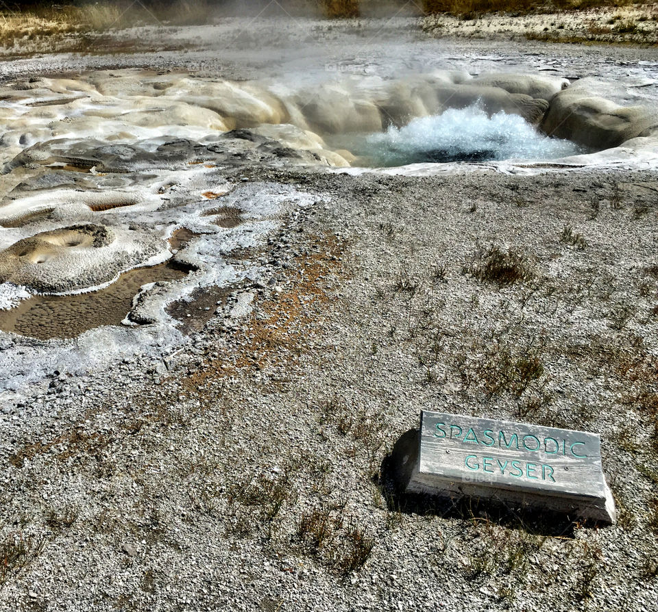 Spasmodic Geyser in Yellowstone National Park boils a beautiful turquoise blue within a moonlike surface all around it on a sunny summer day. 