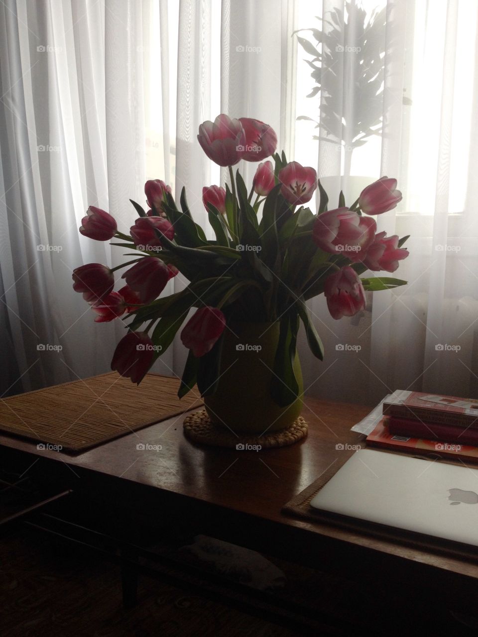 Tulips opening on the stand in the room backlit 