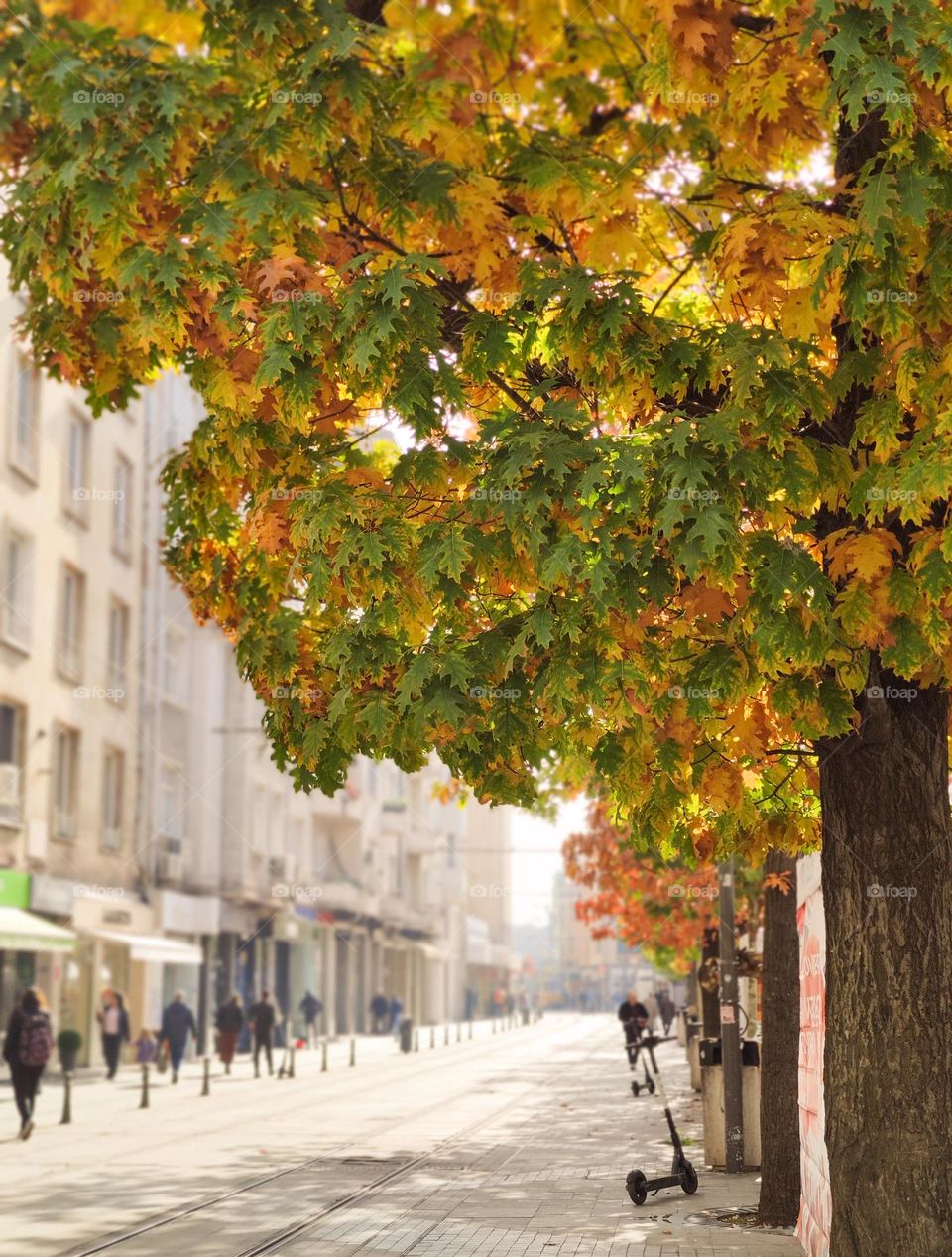 Autumn afternoon in the city