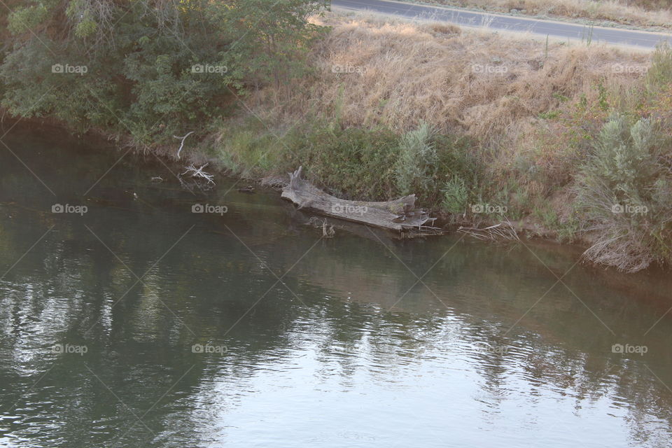 Water, Landscape, River, No Person, Nature