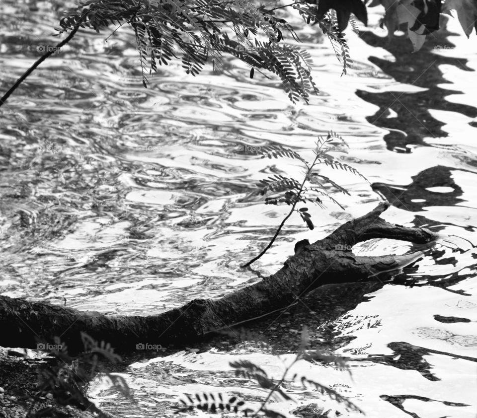 patterns on water in black and white