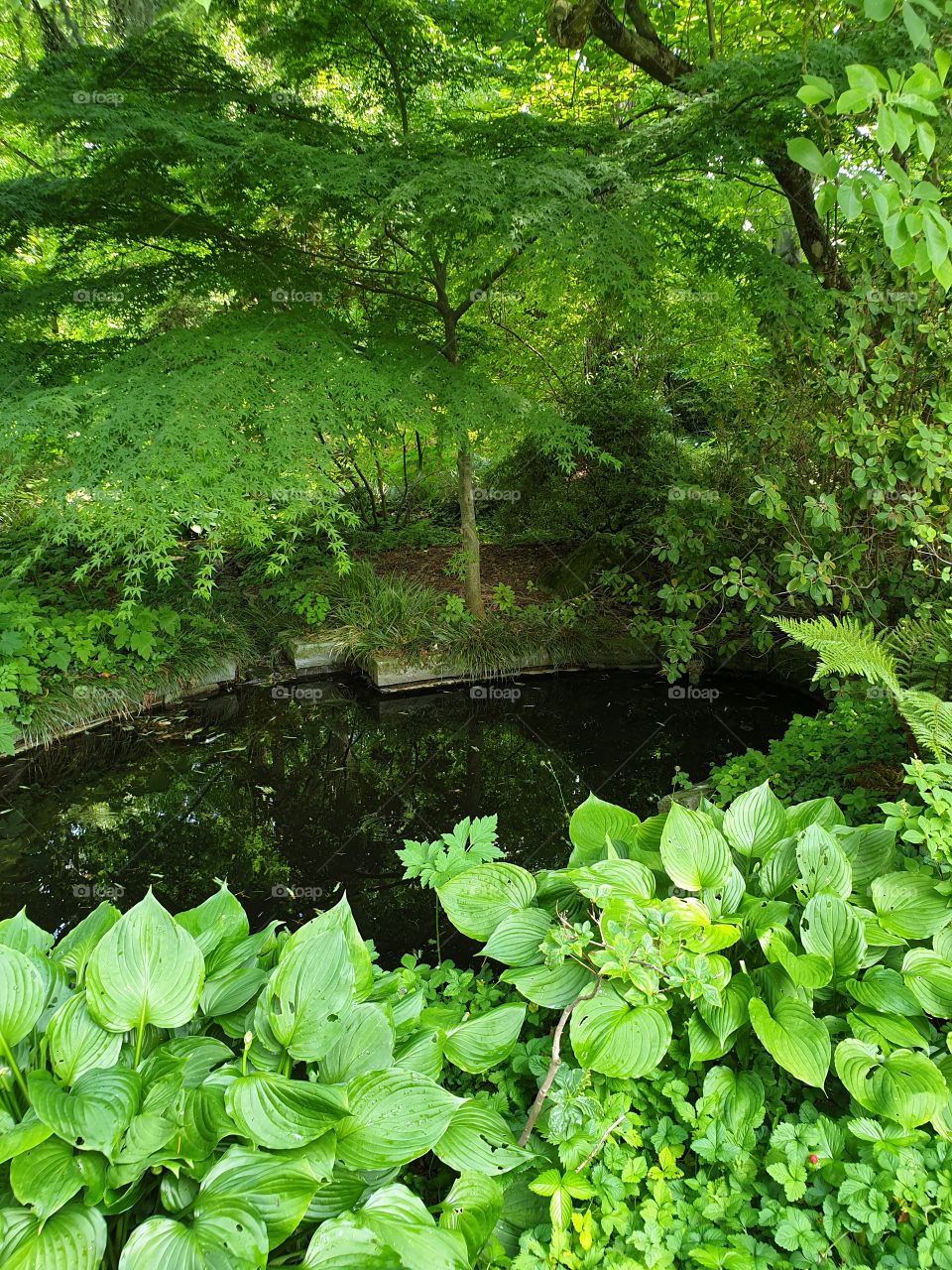 Botanischer Garten Frankfurt