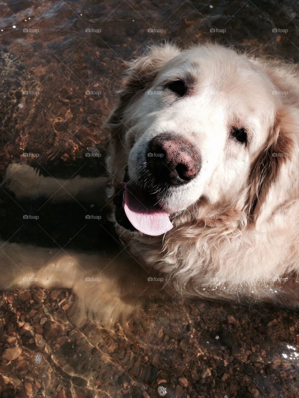 Walking through the Arb means sitting in the river