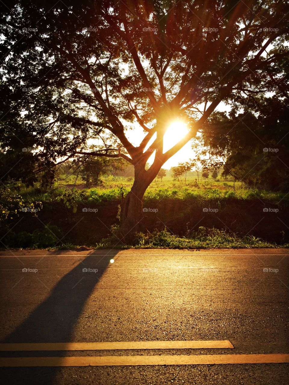 Sunset on the road