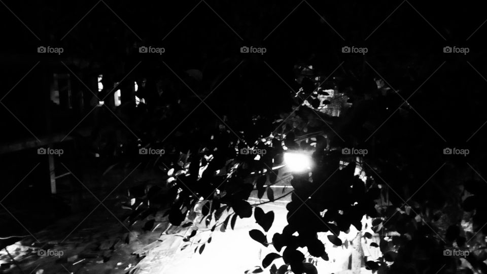 Light comes after dark