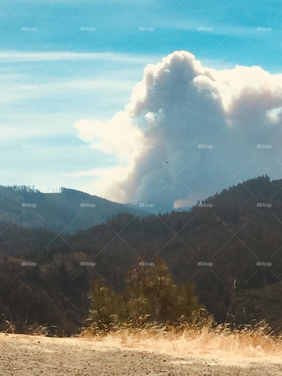 Southern Oregon Fire