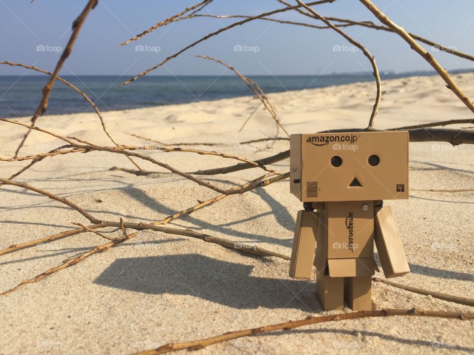 Danbo