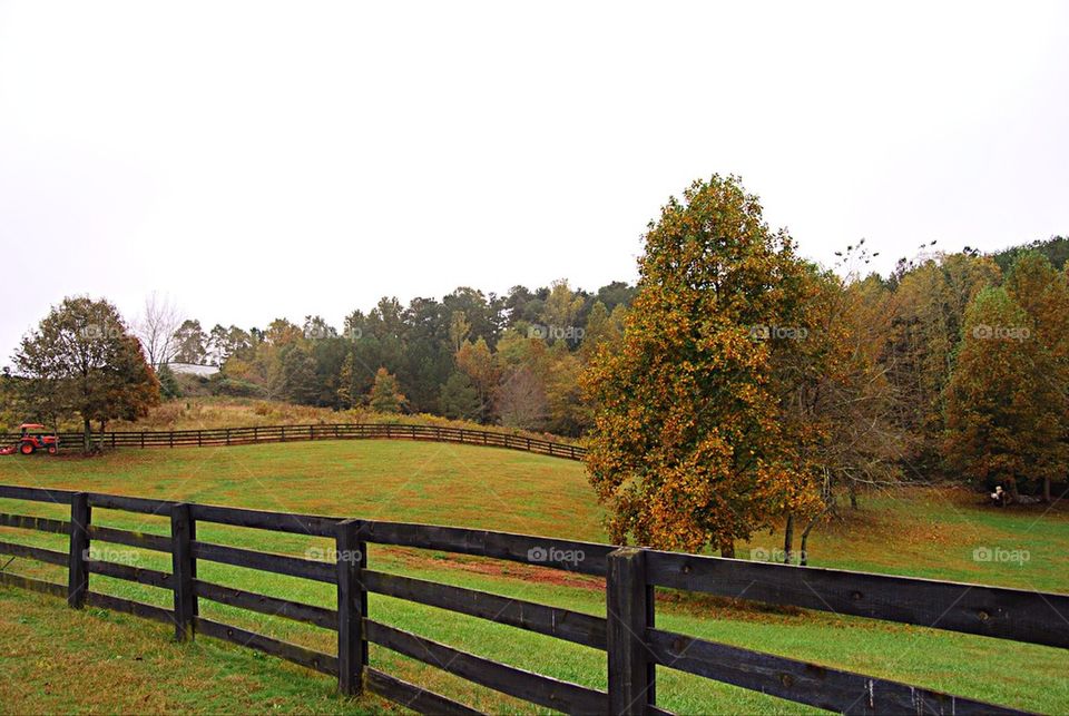 Farm pasture with tractor