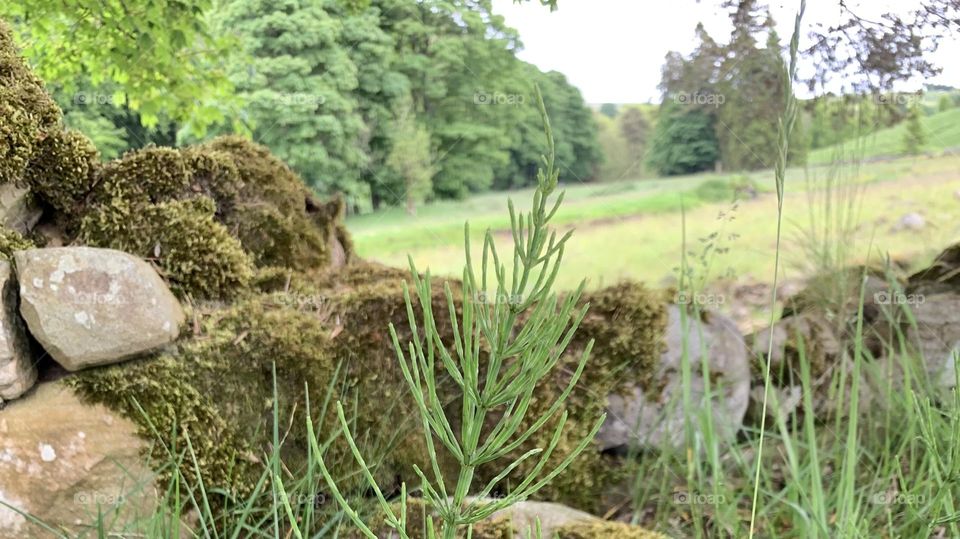 Isaacs Tea Trail Cumbria