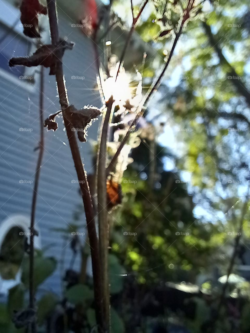 things, often overlooked