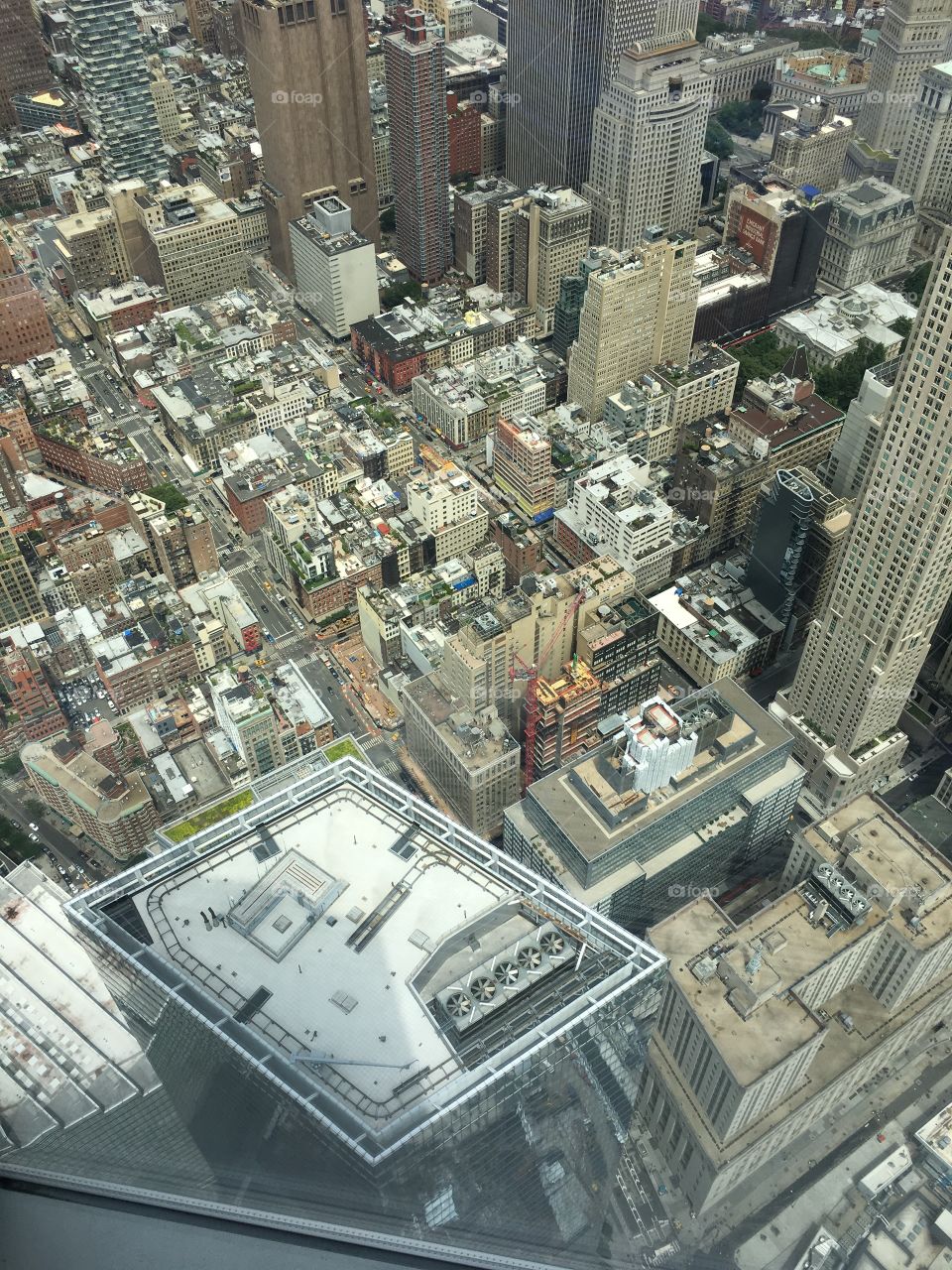View from Freedom Tower