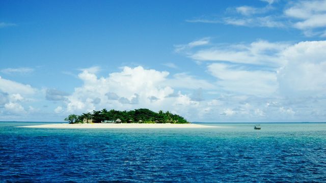 Paradise 