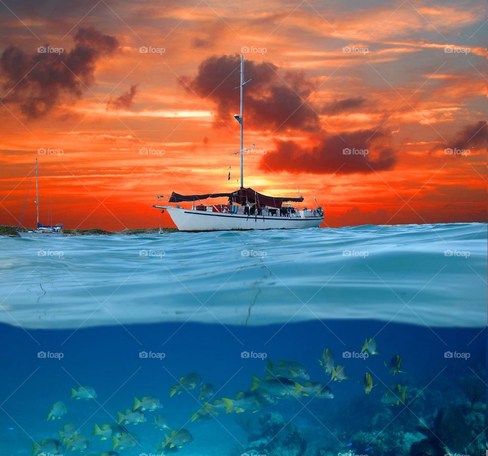 School of fish swimming underwater in front of sailboat