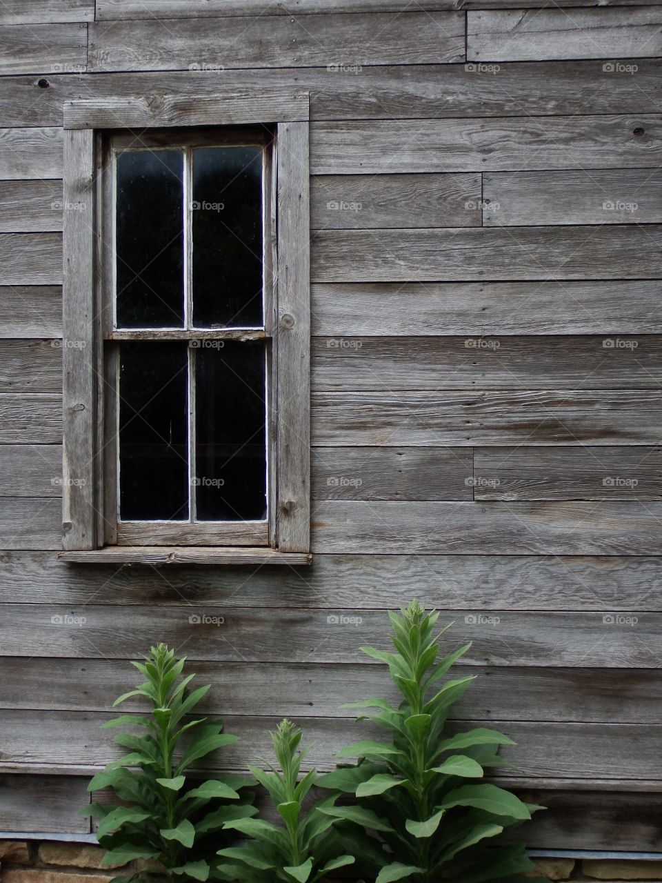 A window on and old wooden building.