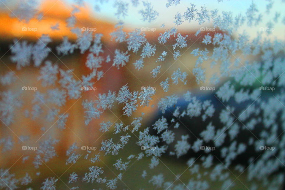 Snowlakes on my window
