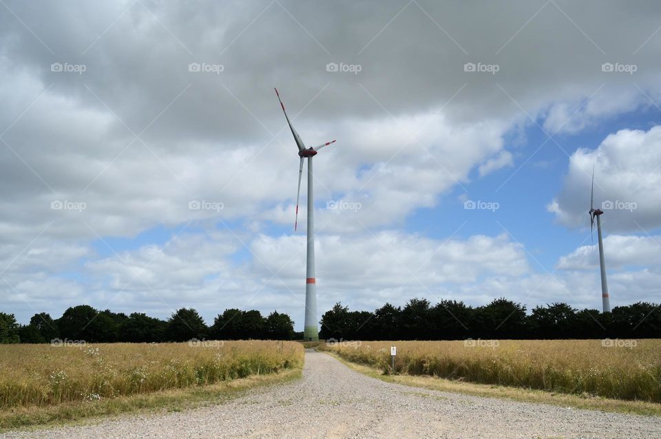 wind turbine on the rapeseed field