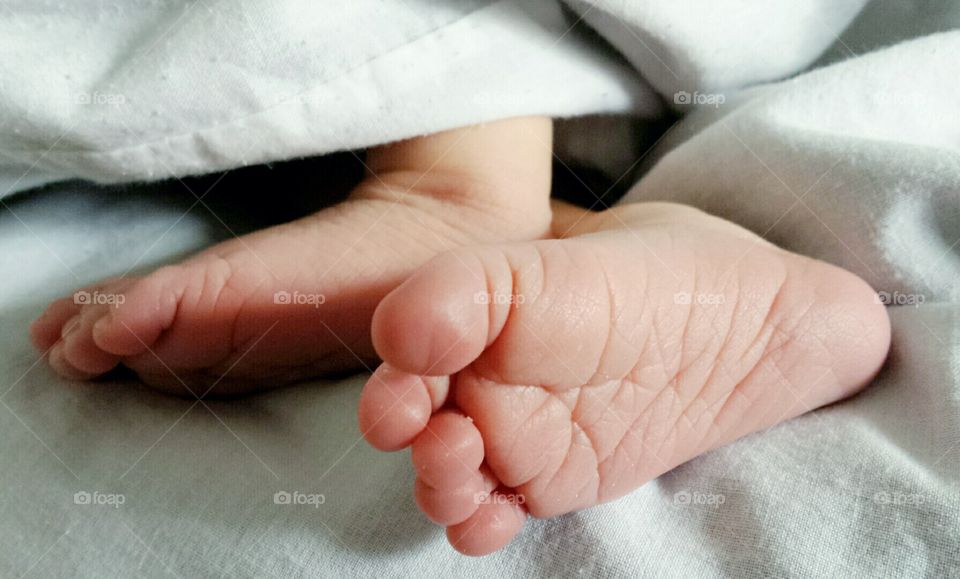 Newborn Baby Feet in White Blanket