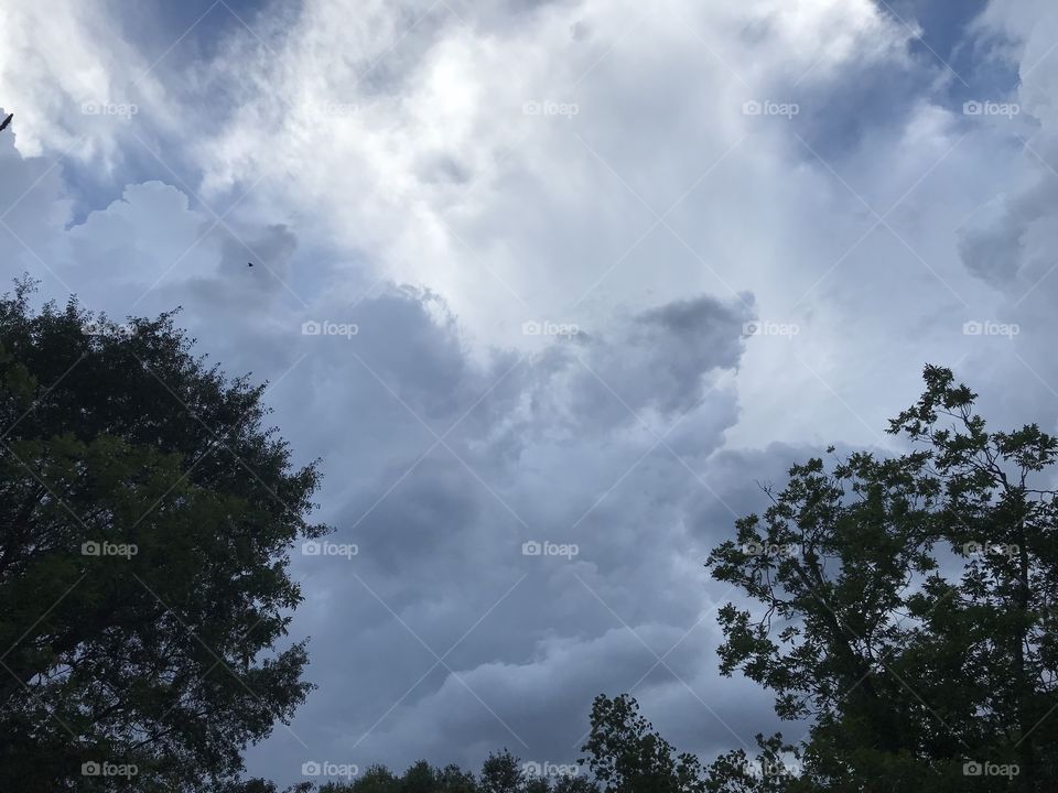 Alabama Evening Thunderstorms