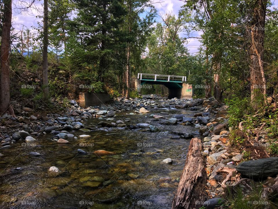 Beautiful sunny hike 