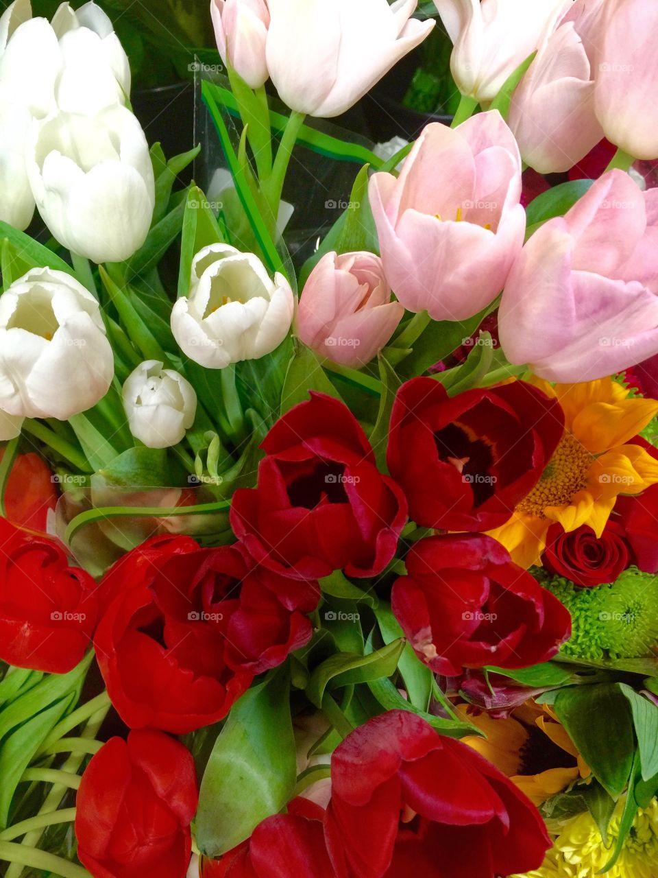 Bunch of different color tulips 