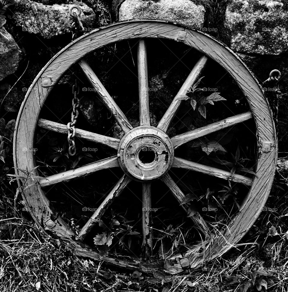 Wheel