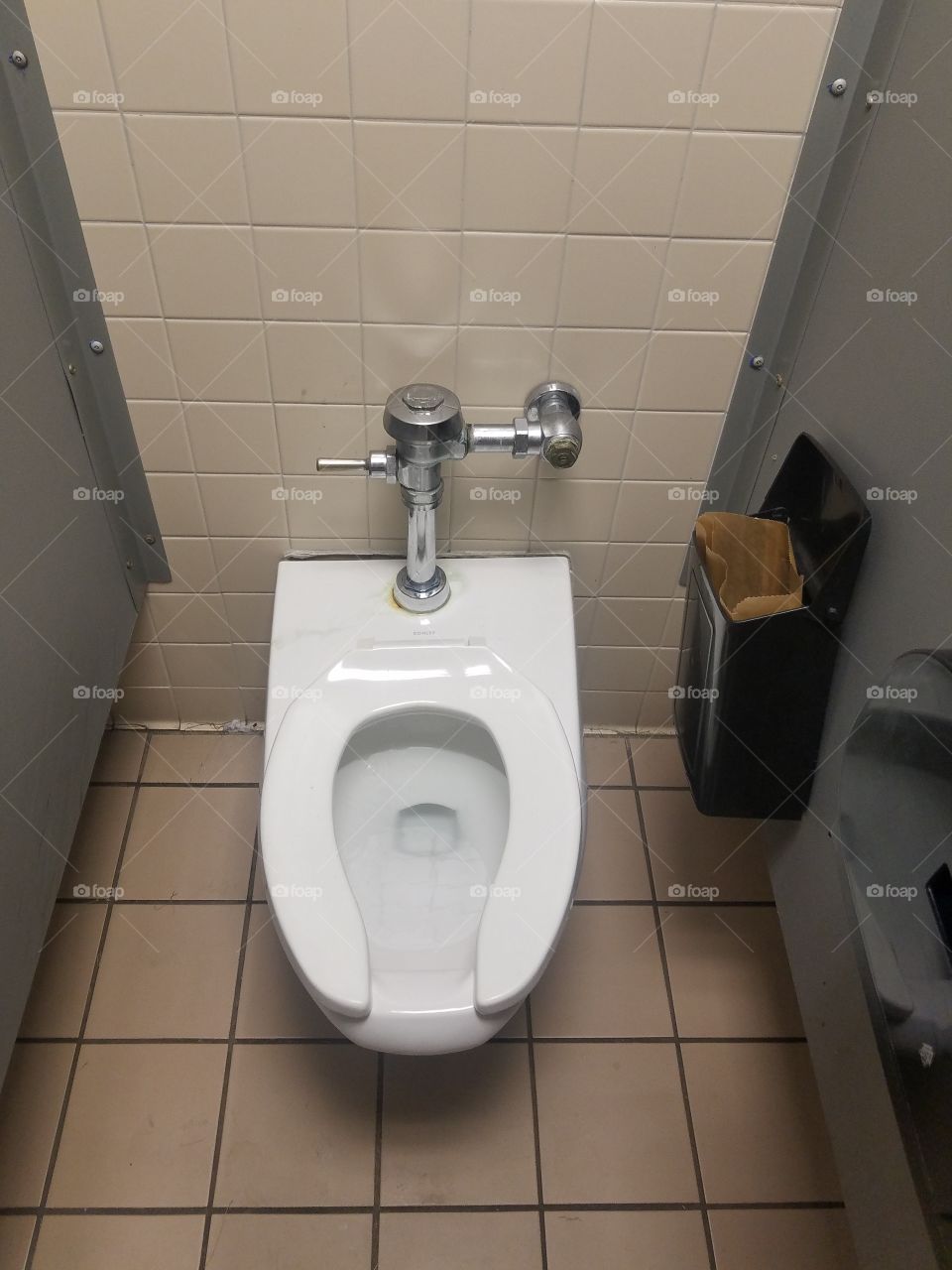 Ladies room toilet