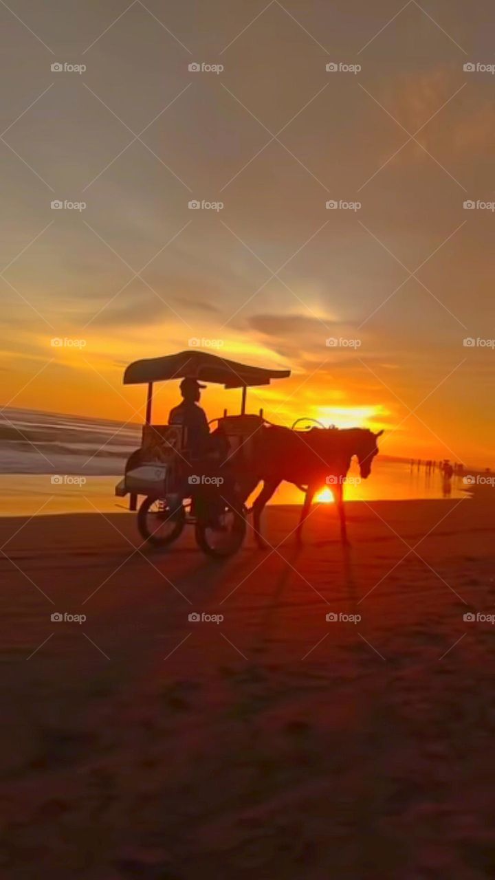 ride a wagon on the beach