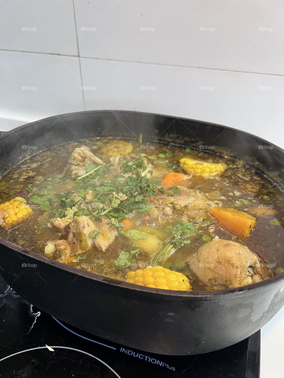 Plato típico chileno cazuela de pollo delicioso