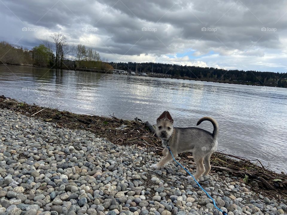 Walking along the beach