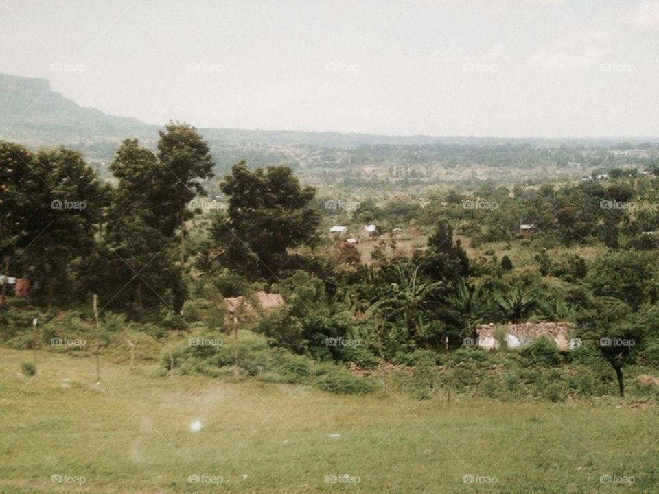 African Hillside