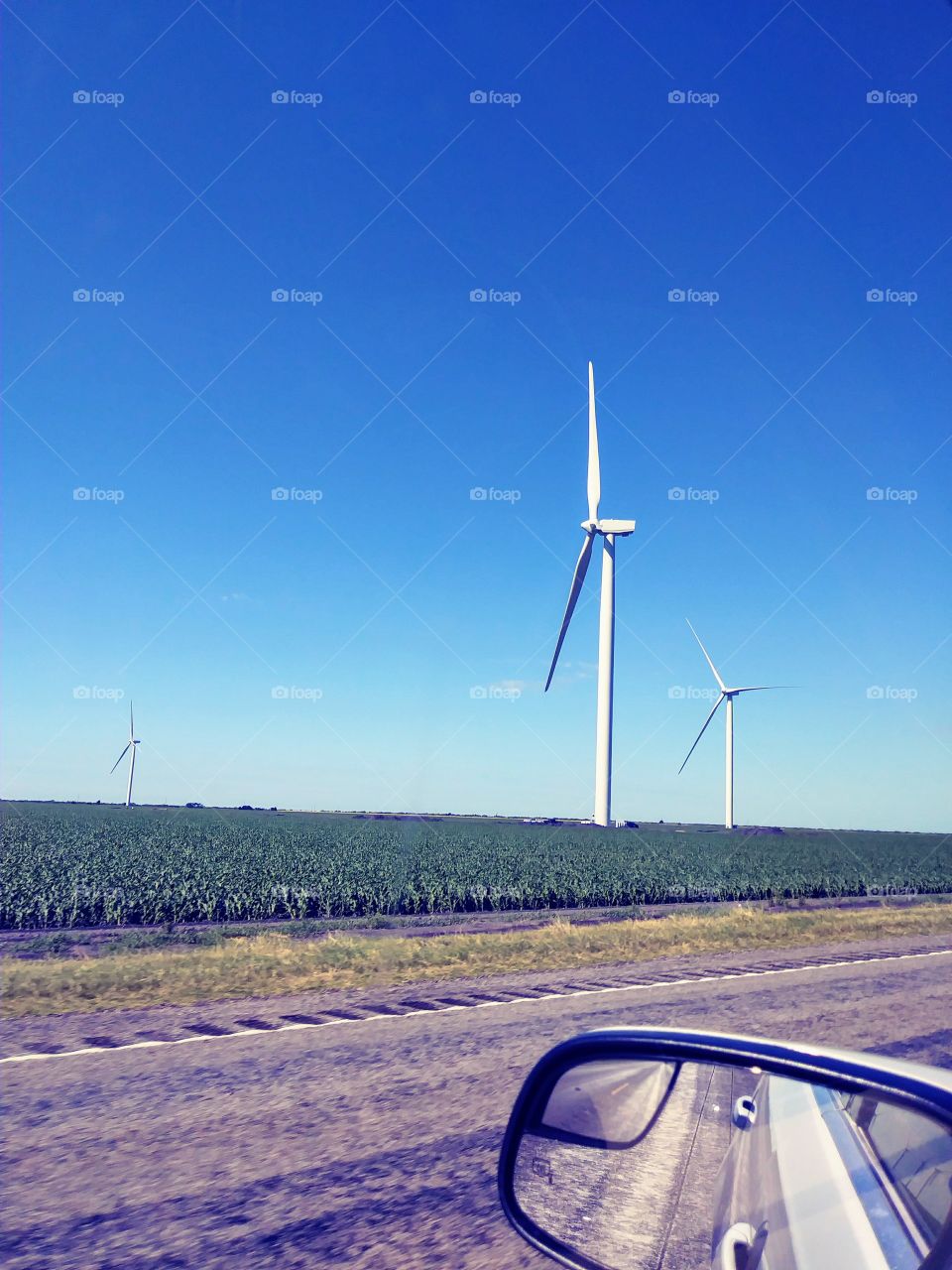 energy windmill field