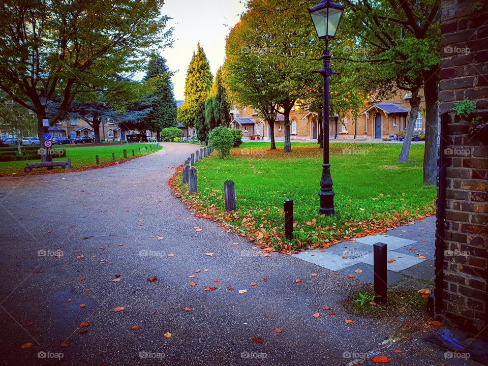 #private #garden #walthamstow