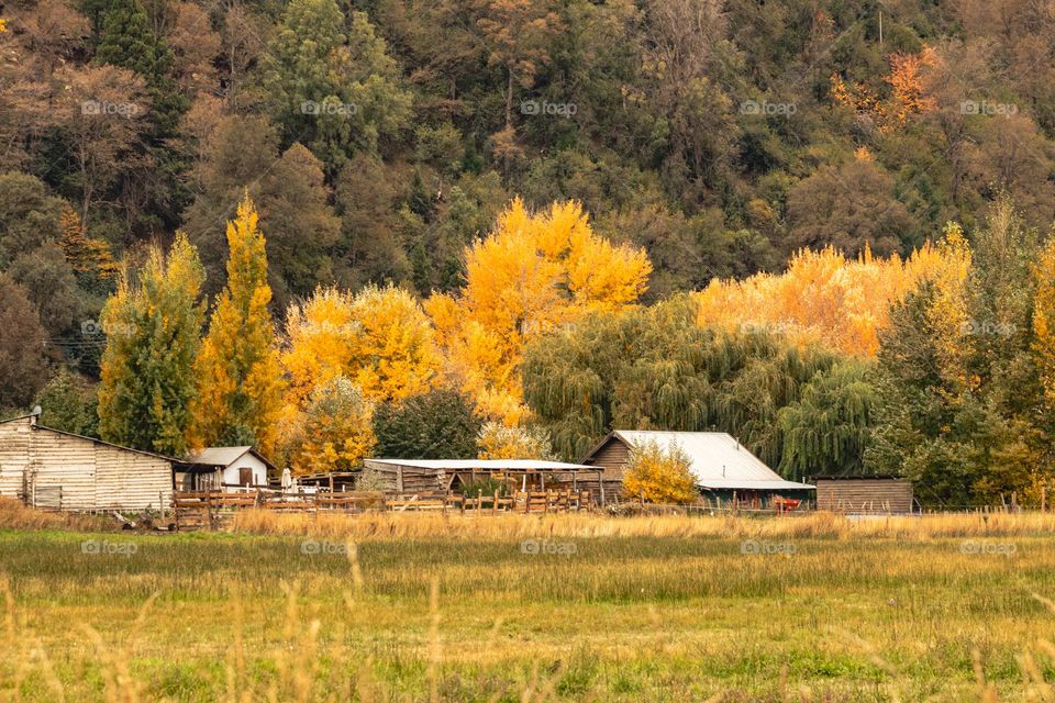 luces de otoño