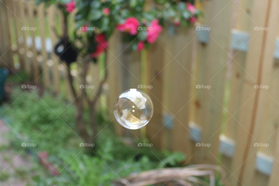 1 bubble