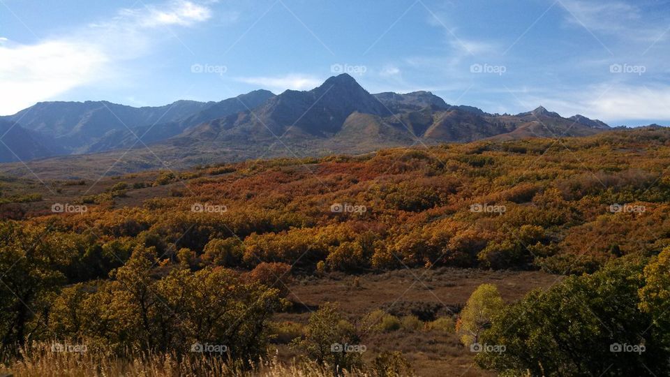 Fall Colors on Mountain