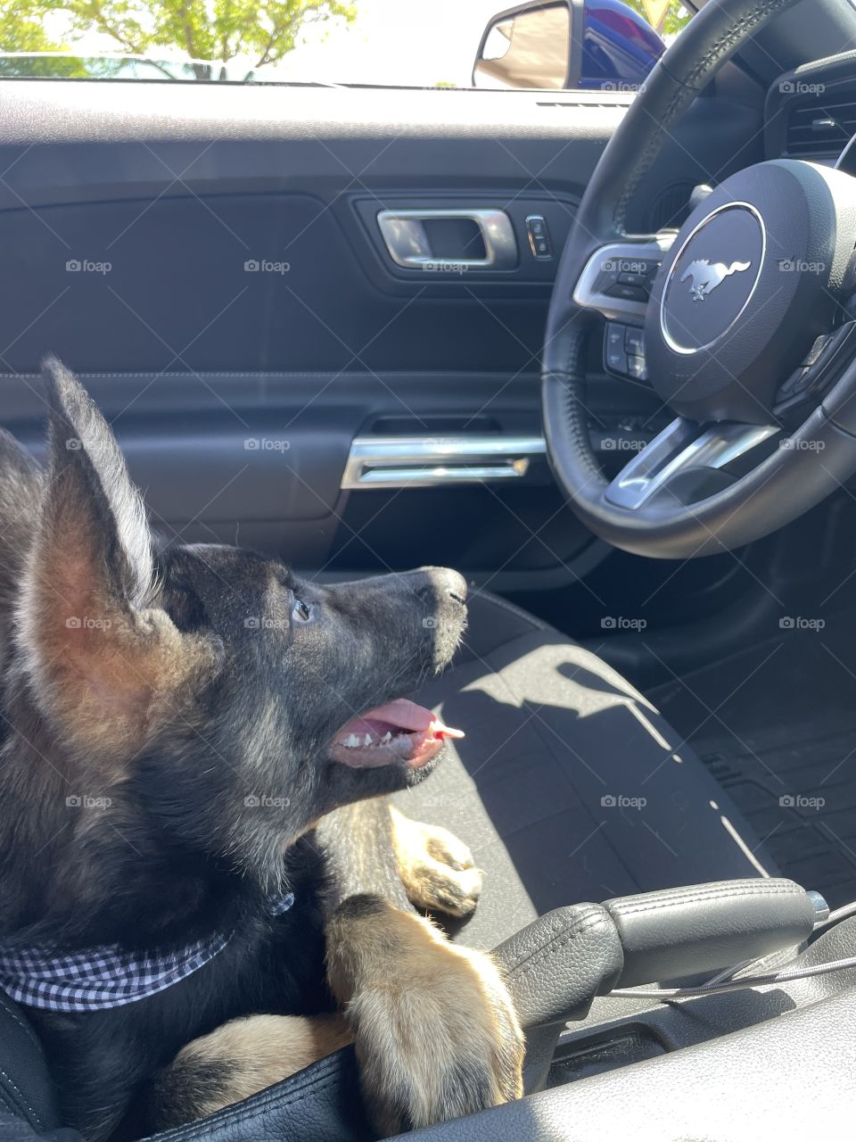 “Let me drive mom”