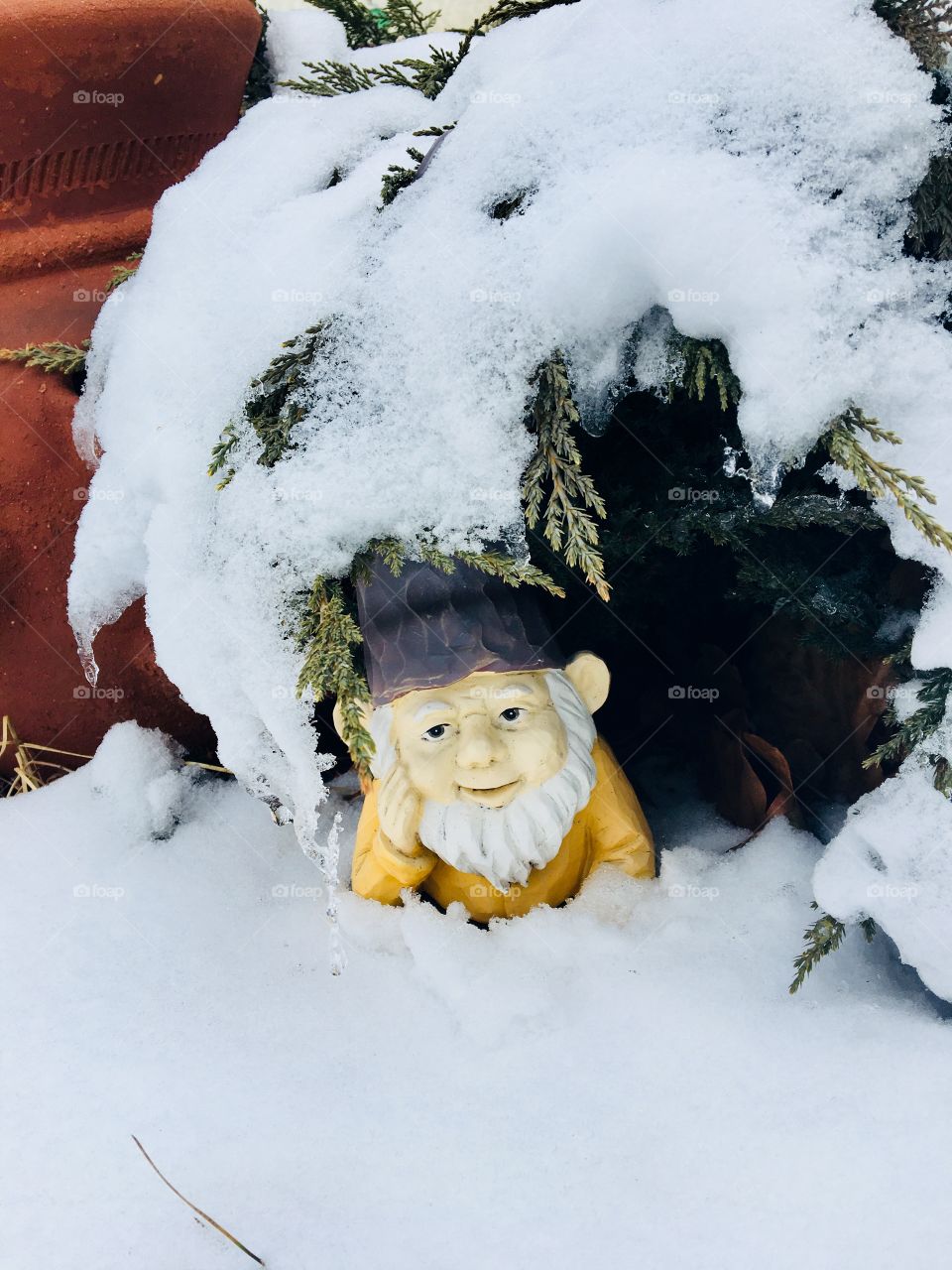 Spring snow covering the gnome in the garden