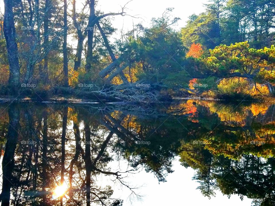 fall kayaking in the pine Barrens of new jersey