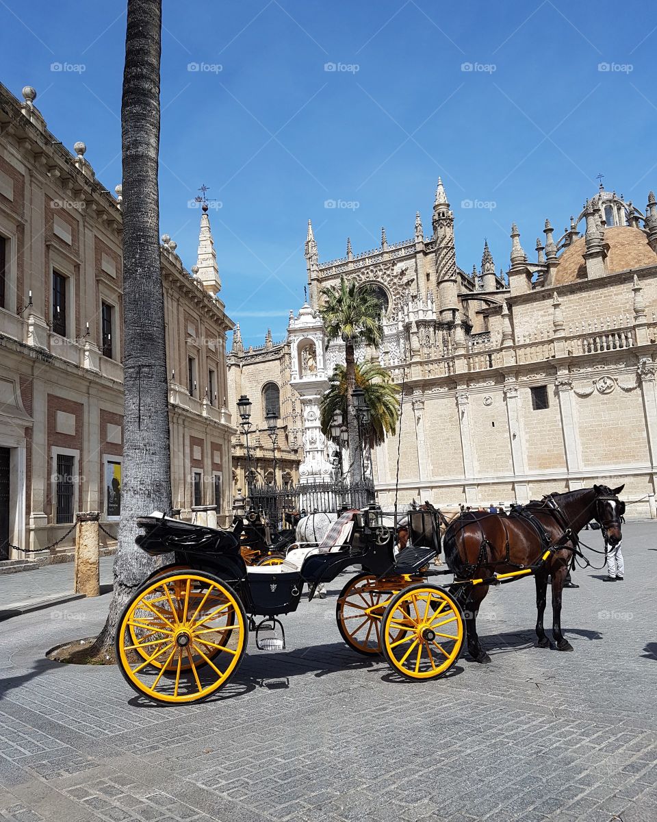 Horse and cart in Seville Spain